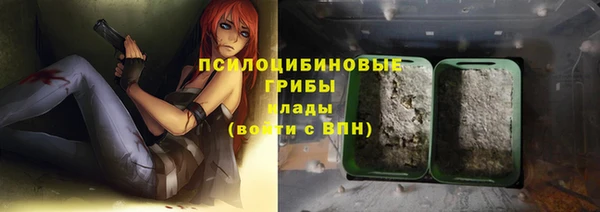 гидра Дегтярск