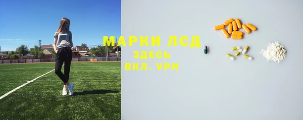 гидра Дегтярск